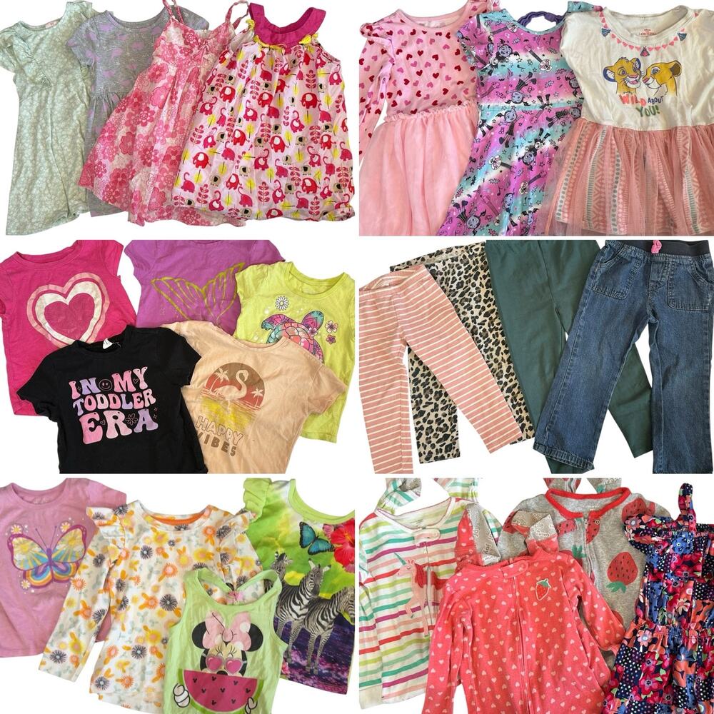 Huge 24 Piece LOT Little Girls Toddler Clothes Bundle Size 3T